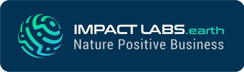 Logo Impact Labs earth