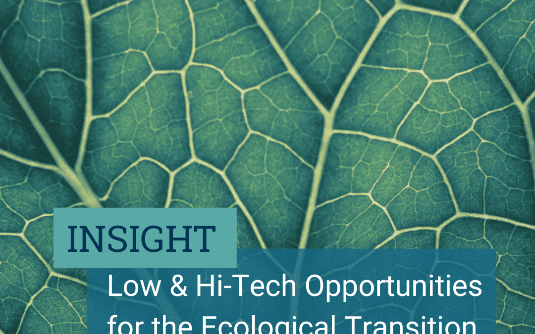 Low & Hi-Tech Opportunities for the Ecological Transition