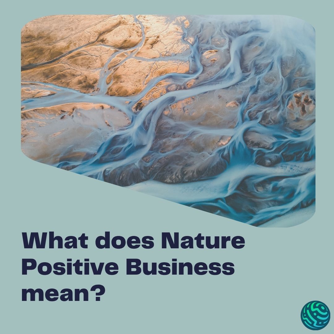 What does Nature Positive Business mean?