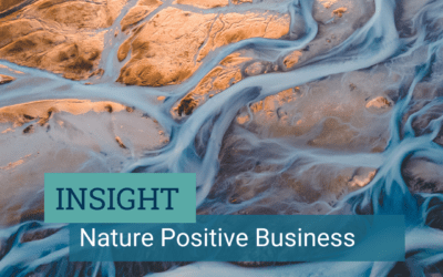 What does Nature Positive Business mean?