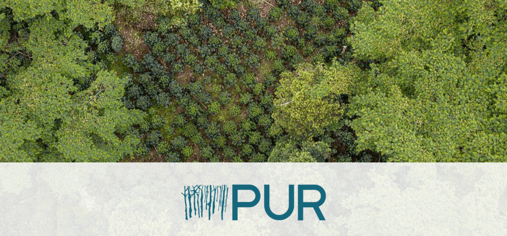 PUR — Integrating Remote Sensing into Nature-Based Solutions: A Pilot with PUR