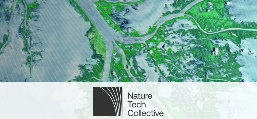 Nature Tech Collective (NTC) — Designing Nature Tech Taxonomy: A New Framework for your Nature Positive Journey