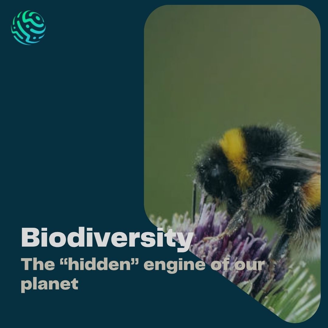 Biodiversity: the “hidden” engine of our planet​