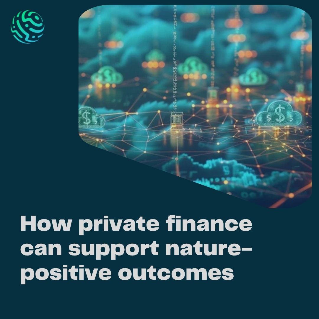 How private finance can support nature-positive outcomes