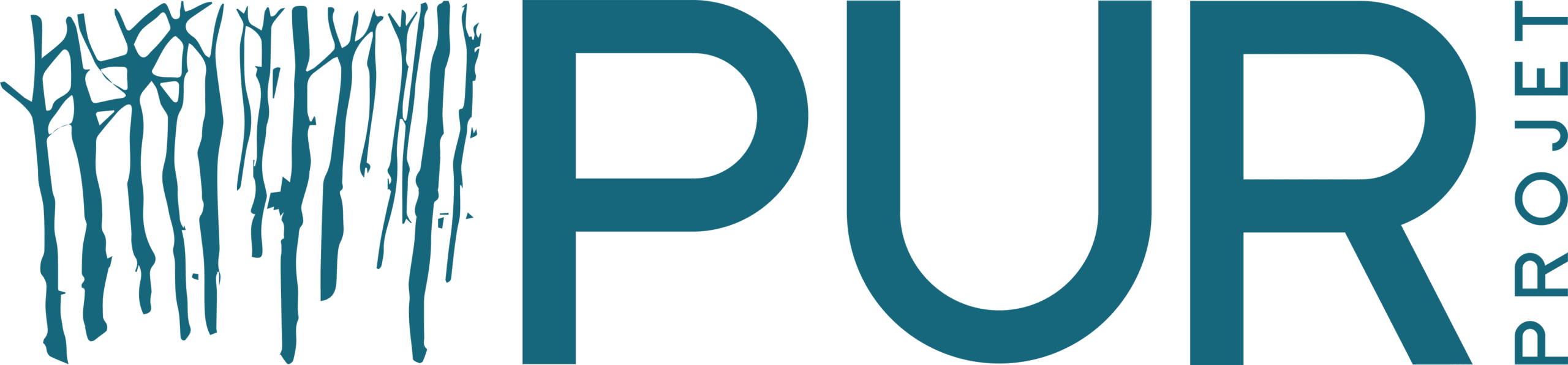 01_PUR_LOGO_96dpi
