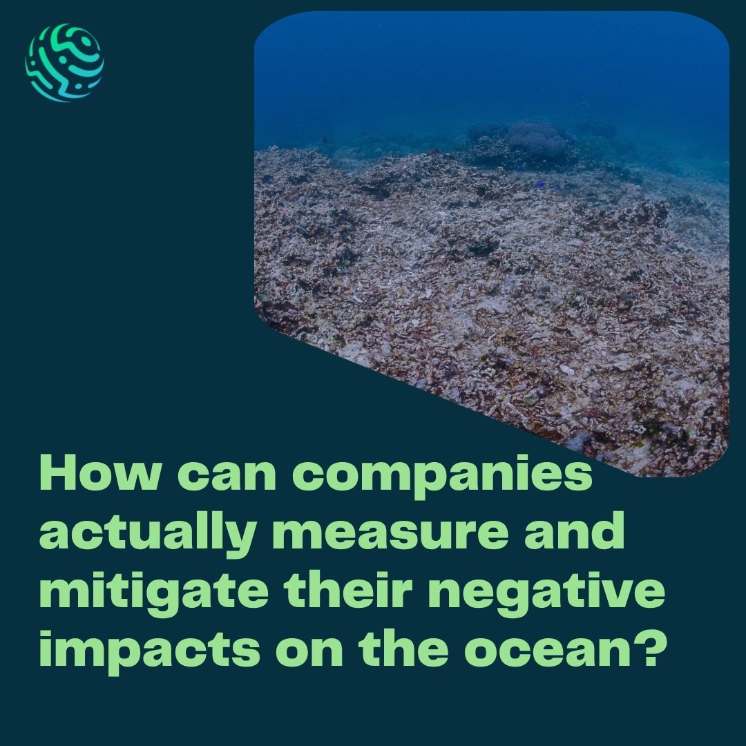 How can companies actually measure and mitigate their negative impacts on the ocean?