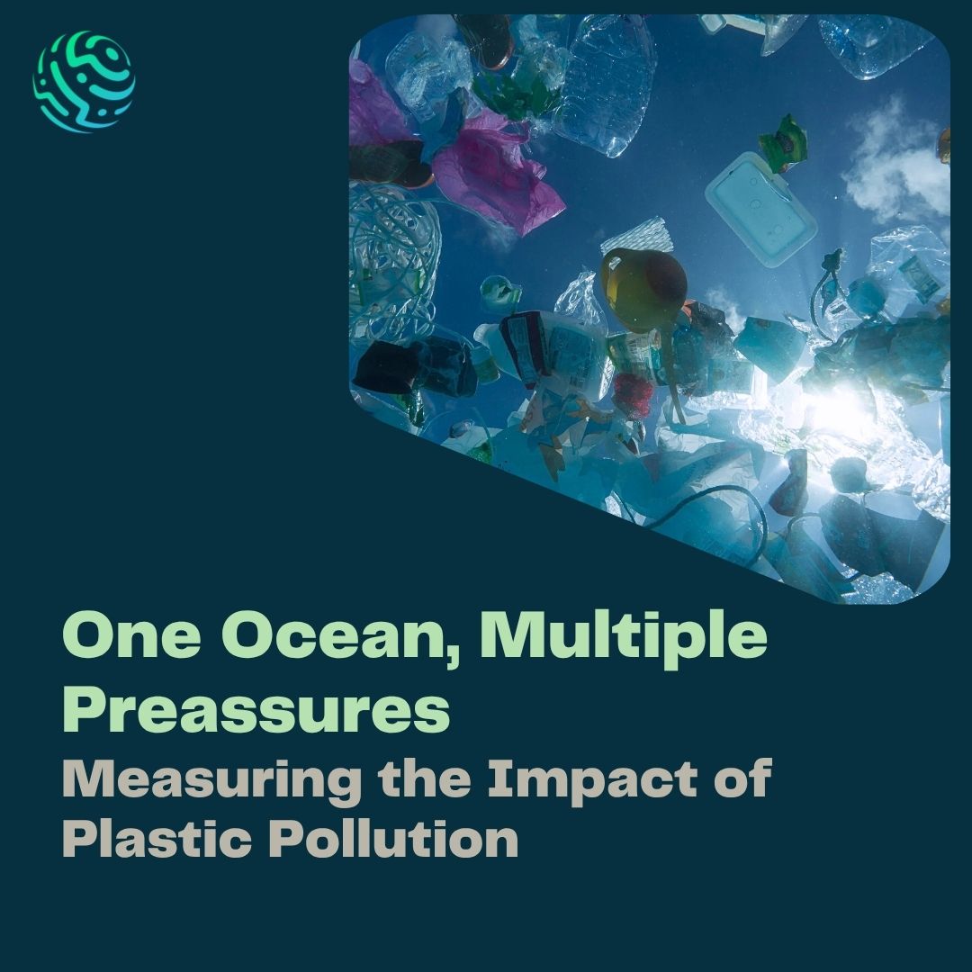 One Ocean, Multiple Pressures: Measuring the Impact of Plastic Pollution